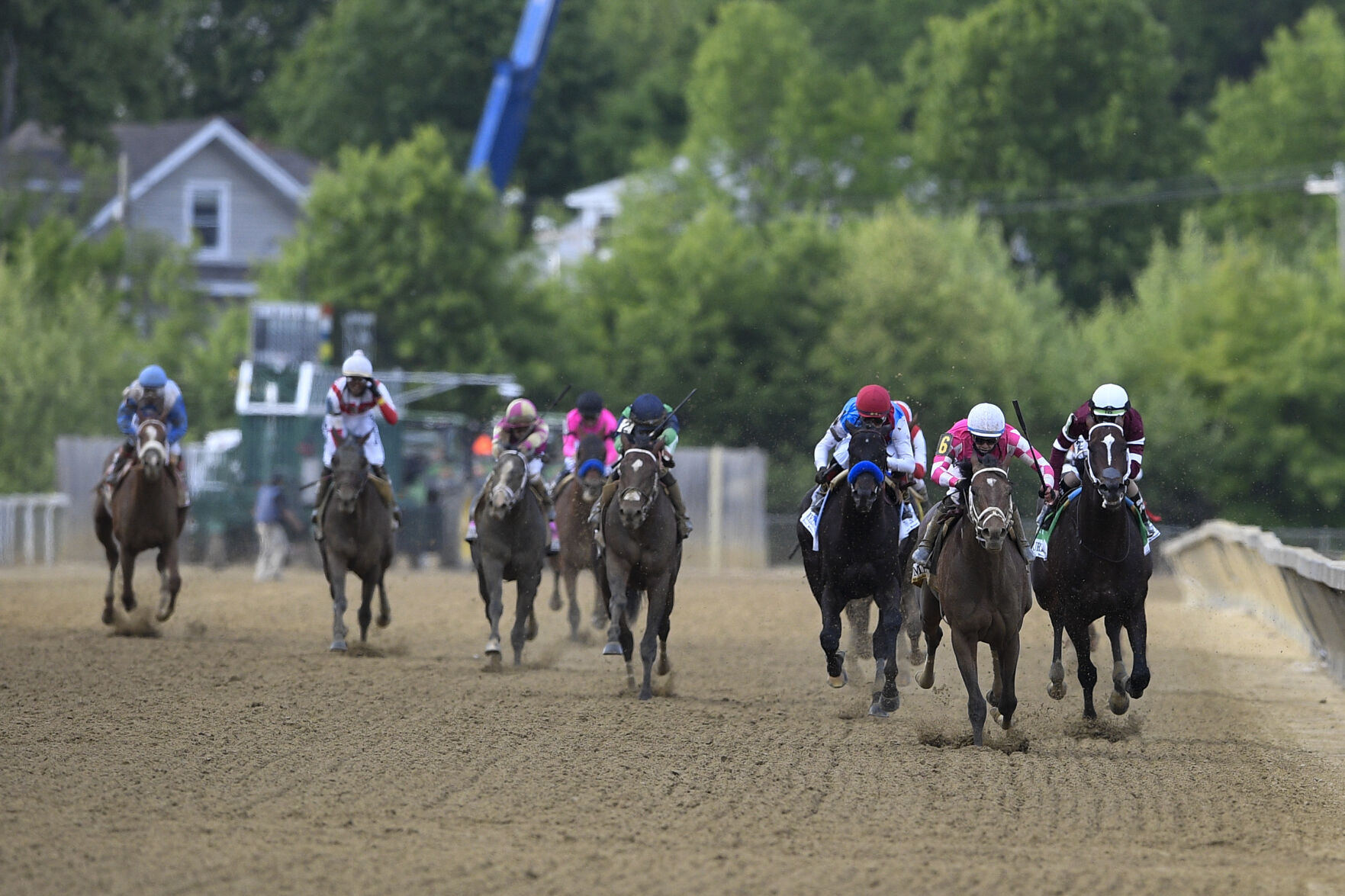Preakness Stakes Horse Race